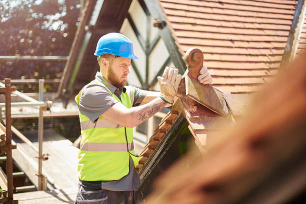 Roof Gutter Cleaning in Ilchester, MD